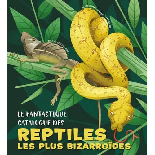 Le Fantastique Catalogue Des Reptiles Les Plus Bizarroïdes