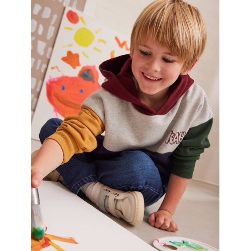 Sweat À Capuche Colorblock Garçon Multicolore