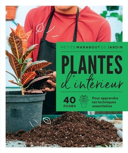 Plantes D'intérieur