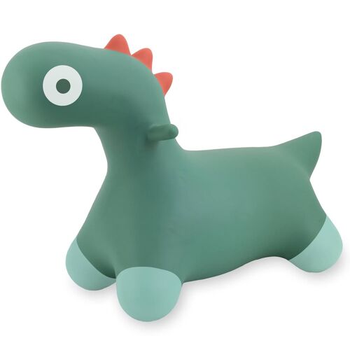 Ballon Sauteur Hoppi Vert