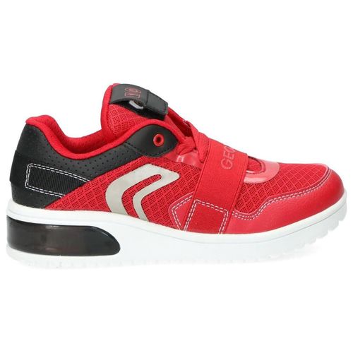 Chaussures Baskets Basses Lacets Velours Red Black