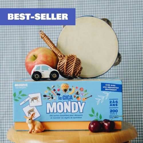 Giga Mondy, Cartes De Nomenclature Montessori Multicolore