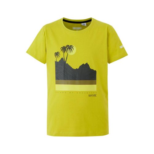 T-Shirt Bosley Bci Cotton Viii Vert Clair