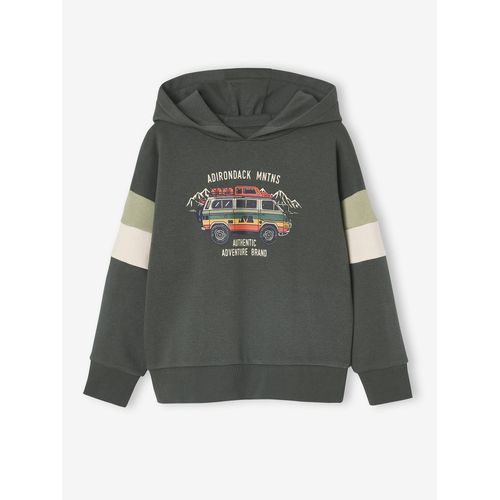 Sweat Capuche Print Placé Lichen