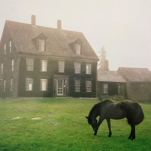 Lutalo - The Academy [Cassettes]