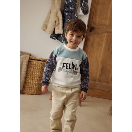 Sweat-Shirt Bébé En Molleton Félintrépide Bleu