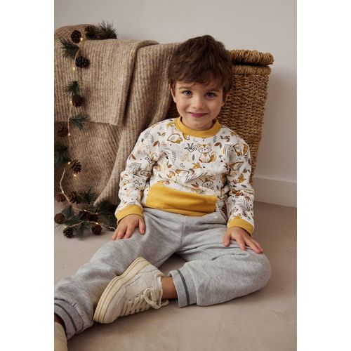 Pantalon Bébé En Molleton Abou Gris