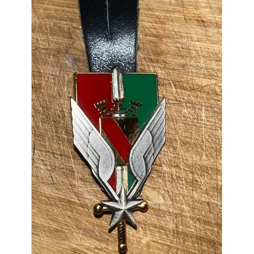 Insigne De L'Escadrille De Liaison Des Forces Françaises Balme