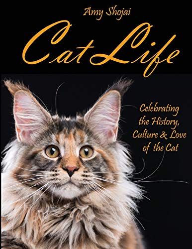 Cat Life