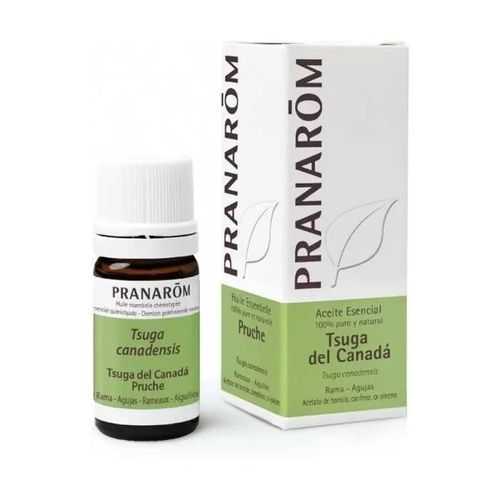 Pranarom - Huile Essentielle De Pruche En Branches 5 Ml De Huile Essentielle 