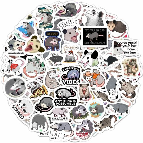 Autocollants Opossum Pour Bouteilles D'Eau Et Ordinateurs Portables - Décorations Et Cadeaux Amusants Sur Le Thème Des Opossums - Possum Stickers