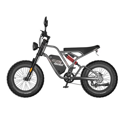Vtt Électrique Fafrees F20 Ultra, Pneus Tout-Terrain 20" × 5.0, Batterie 48 V 25 Ah, Style Moto,  Gris