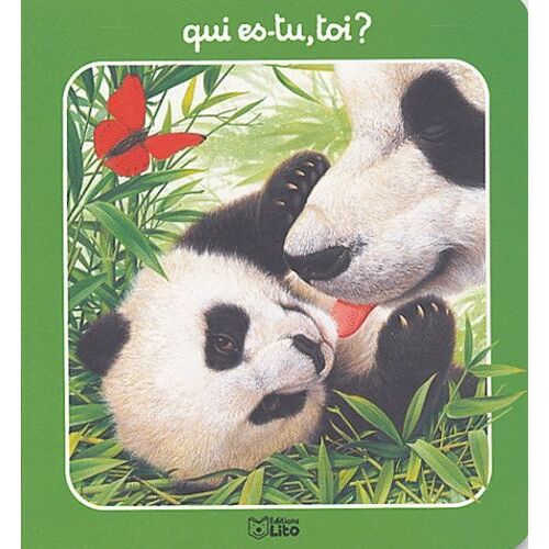 Qui Es-Tu, Toi ?