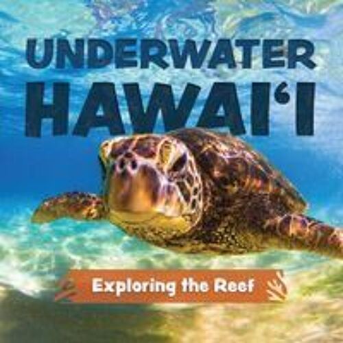Underwater Hawai'i: Exploring The Reef