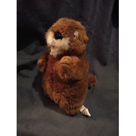 Peluche Castor Marron Blanc Startoy