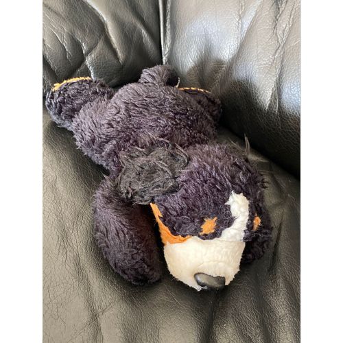 Peluche doudou chien noir blanc et marron allongé 25cm