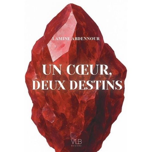 Un Coeur, Deux Destins