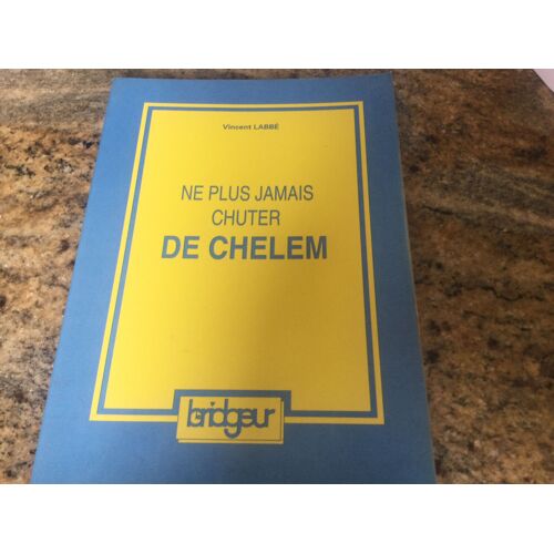 Ne Plus Jamais Chuter De Chelem Vincent Labbe