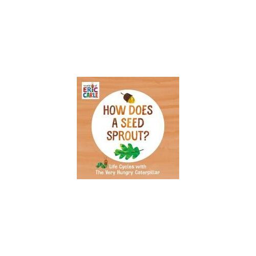 How Does A Seed Sprout?
