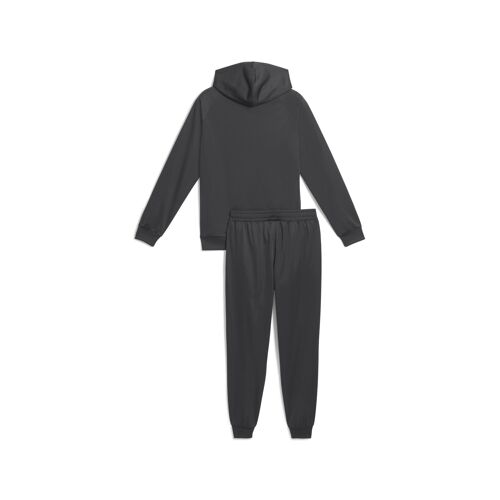Puma Survêtement À Capuche En Polyester Homme, Vêtements, Dusky Gris, M