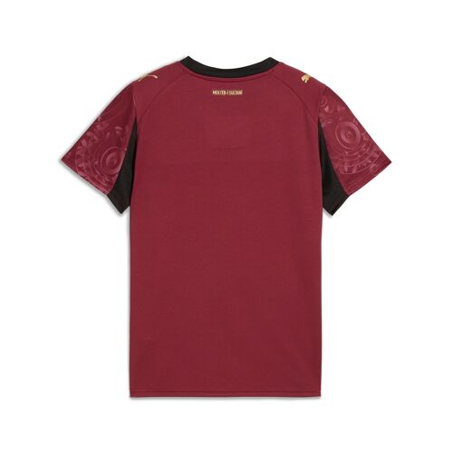 Puma Maillot Third 25/26 Galatasaray Sk Enfant Et Adolescent, Vêtements, Regal Rouge/Doré, 9-10y