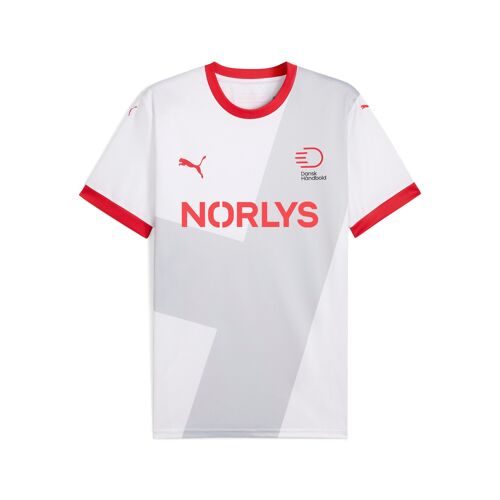 Puma Maillot De Handball Away Danemark Homme, Vêtements, Blanc/Cool Light Gris, L
