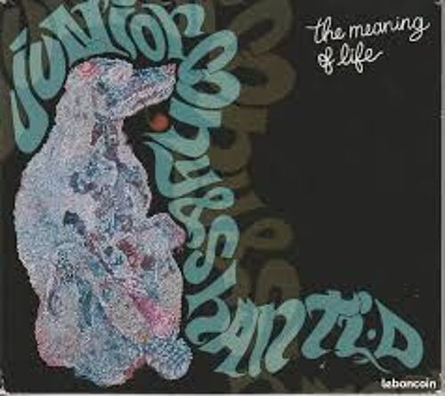 Junior Cony & Shanti D - The Meaning Of Life
