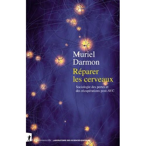 Réparer Les Cerveaux - Sociologie Des Pertes Et Des Récupérations Post-Avc