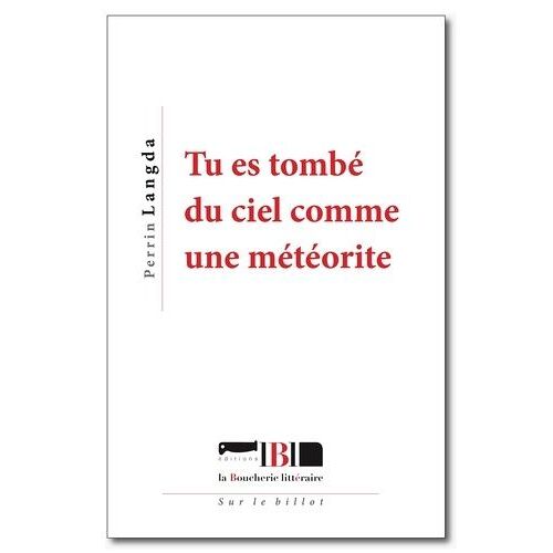 Tu Es Tombé Du Ciel Comme Une Météorite