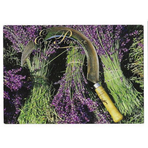 Carte Postale En Provence