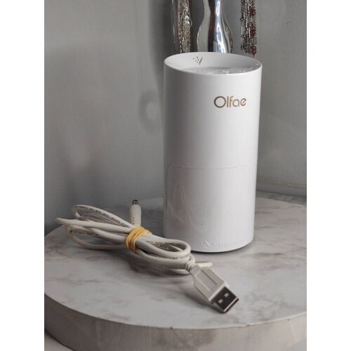 Diffuseur olfae huile essentielle