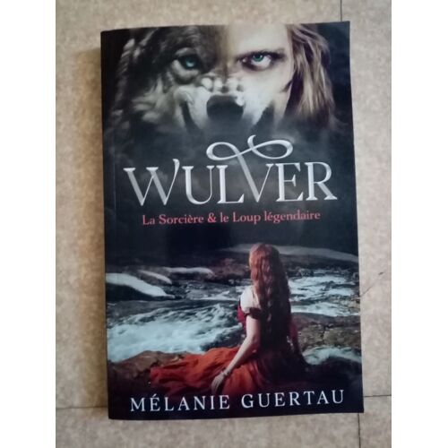 Wulver: La Sorcière & Le Loup Légendaire (Conte) (French Edition)