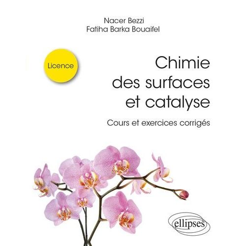 Chimie Des Surfaces Et Catalyse - Cours Et Exercices Corrigés