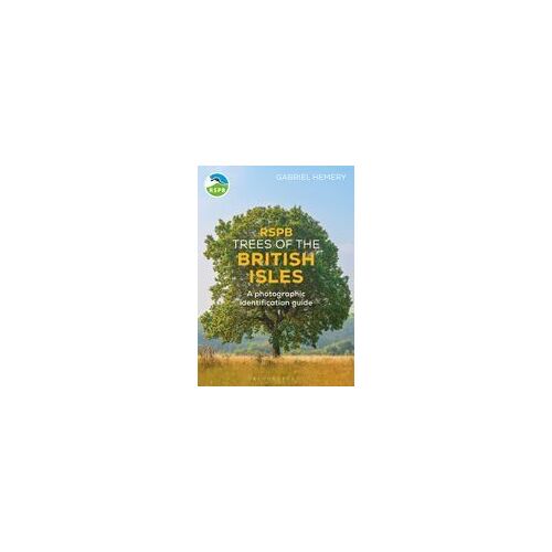 Rspb Trees Of The British Isles