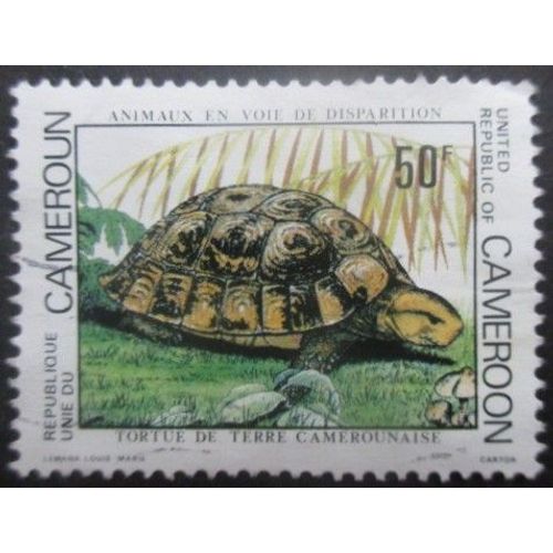 Cameroun N°672 Tortue Oblitéré