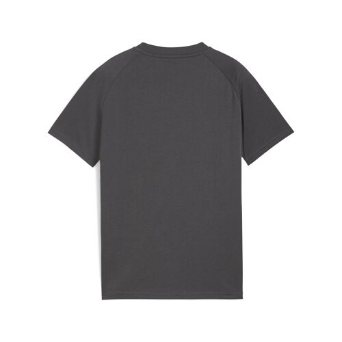 T-Shirt Avec Poche Pumatech Ac Milan Enfant Et Adolescent, Vêtements, Shadow Gris/Rouge, 7-8y