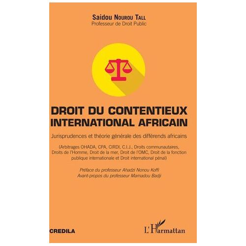 Droit Du Contentieux International Africain