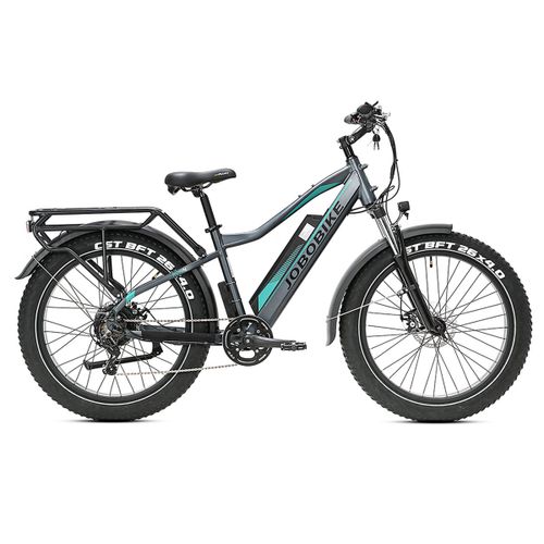Fatbike Électrique Pour Homme Jobobike Robin, Tout-Terrain, Bafang 250 W, Batterie 48 V 13 Ah, Noir Et Vert