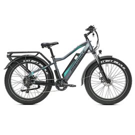 Fatbike Électrique Pour Homme Jobobike Robin, Tout-Terrain, Bafang 250 W, Batterie 48 V 13 Ah, Noir Et Vert