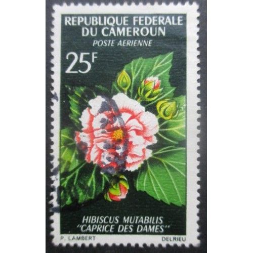 Cameroun Poste Aérienne N°81 Fleur Oblitéré