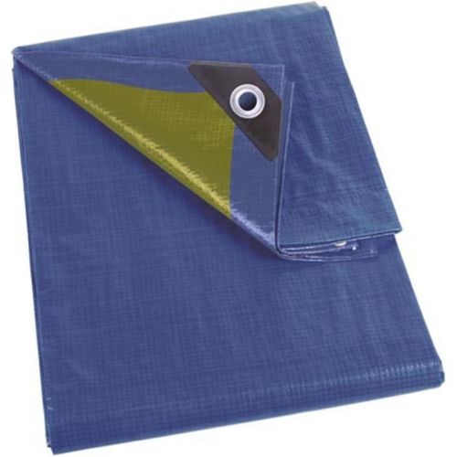 ASFASFq-Bâche, bâche imperméable, bache de Protection extérieur, hivernage, très résistante, 20 ?illets, Angles renforcés, carré, Bleu/Vert, 70 g/m², 5 x 5 m