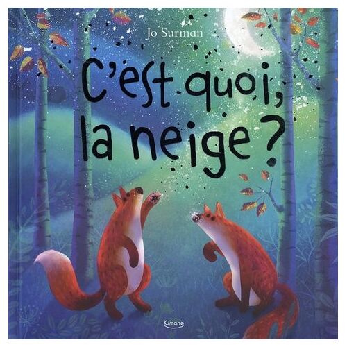 C'est Quoi, La Neige ?