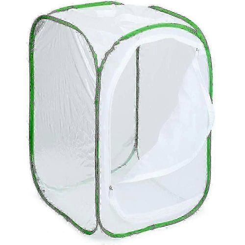 Cage D'observation Pliable Pour Insectes - Enclos À Papillons Disponible En 3 Tailles - 40 X 40 X 60 Cm