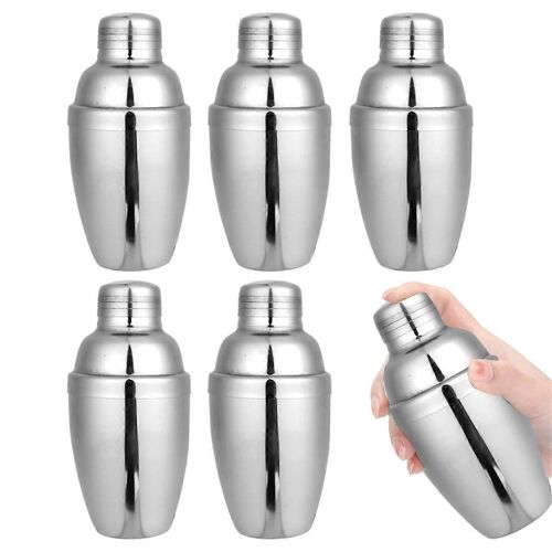 Lot de 6 mini shakers à cocktail, shakers à boissons, mini shaker à martini en acier inoxydable, shaker à cocktail avec