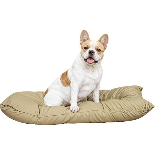 Sjzg-Maxi Coussin Elegant Pour Chien, En Microfibre, 60x100cm, Crème