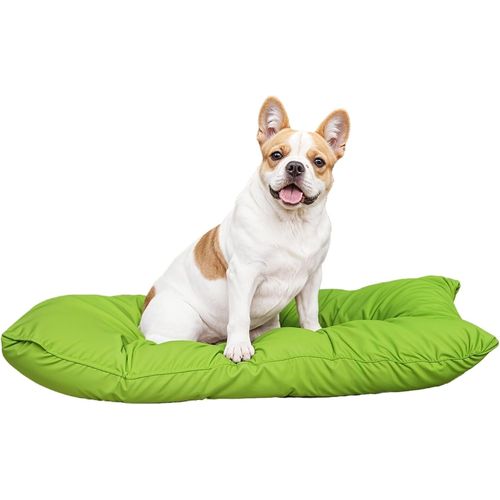 Sjzg-Maxi Coussin Elegant Pour Chien, En Microfibre, 60x100cm, Vert Pomme