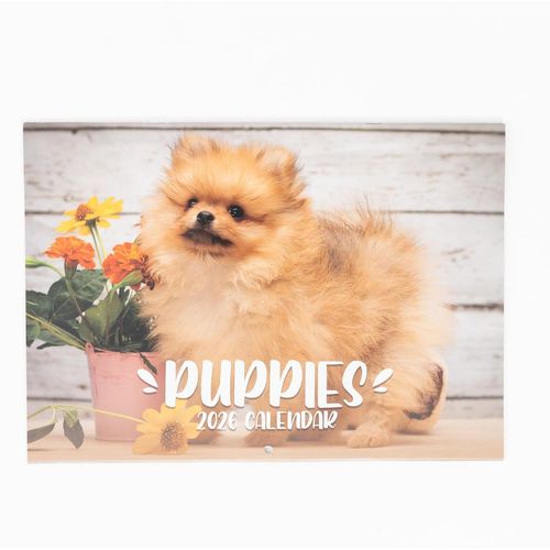 Calendrier Mural 2025 A4 Avec Affichage Mensuel - Format A3 Ouvert - À Suspendre - Pour La Maison Et Le Bureau - Motif Chiot