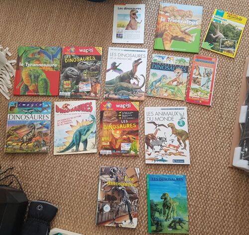 Lot De Revues / Livres Sur Les Dinosaures