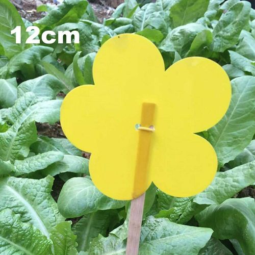 Piège à Insectes en Papier Collant Jaune pour l'Été,Tuer les Mouches,Pucerons,Guêpes,Lot de Nuisibles,Lutte Antiparasitaire,Fournitures de Jardin pour la Maison,10 Pièces - Type Flower