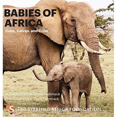 Babies Of Africa